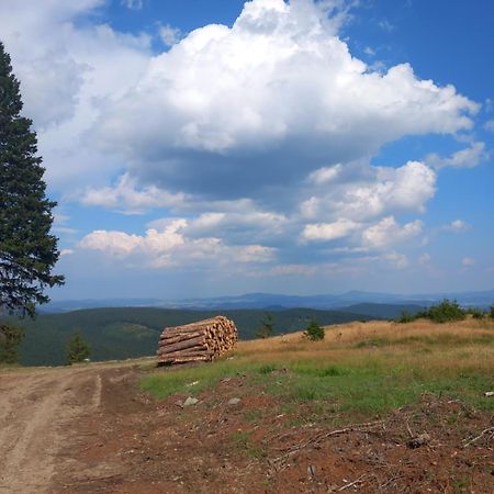 Schronisko Srebrny Potok Bed & Breakfast Lubawka Bagian luar foto